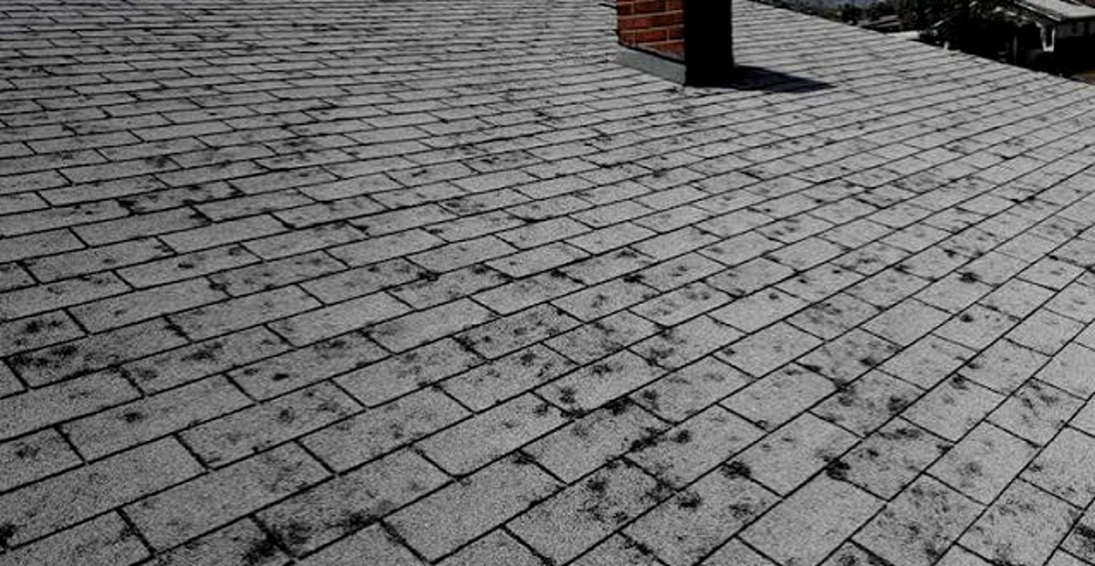 Storm damage service